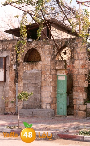 lud ramla 0507 (5).jpg